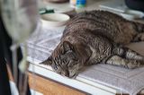 img_2811