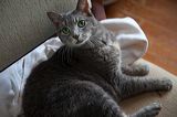 img_2815
