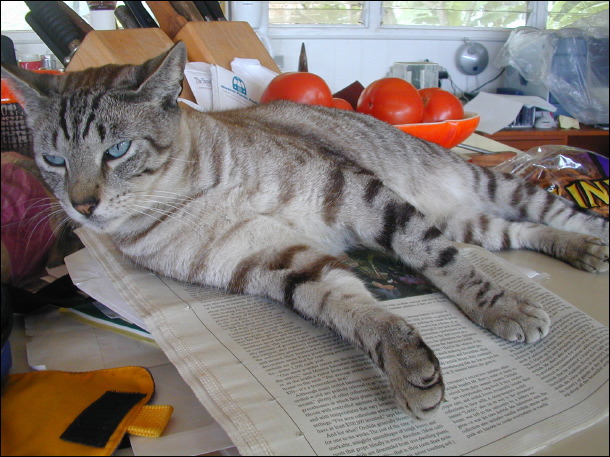 dscn2591.jpg