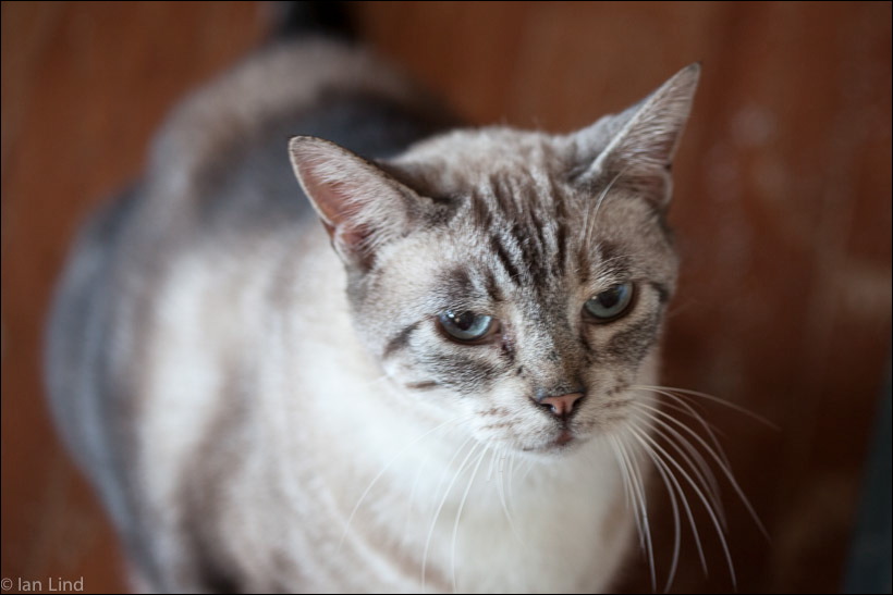 img_6915.jpg