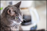 img_7578