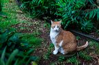img_8565