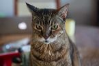 img_8577