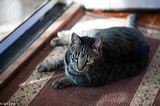 img_9502