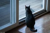 img_9503
