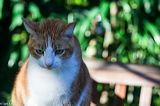 img_9513