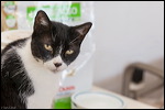 img_0748