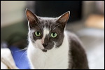 img_0762