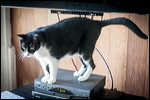 img_0777