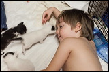 kittens0612