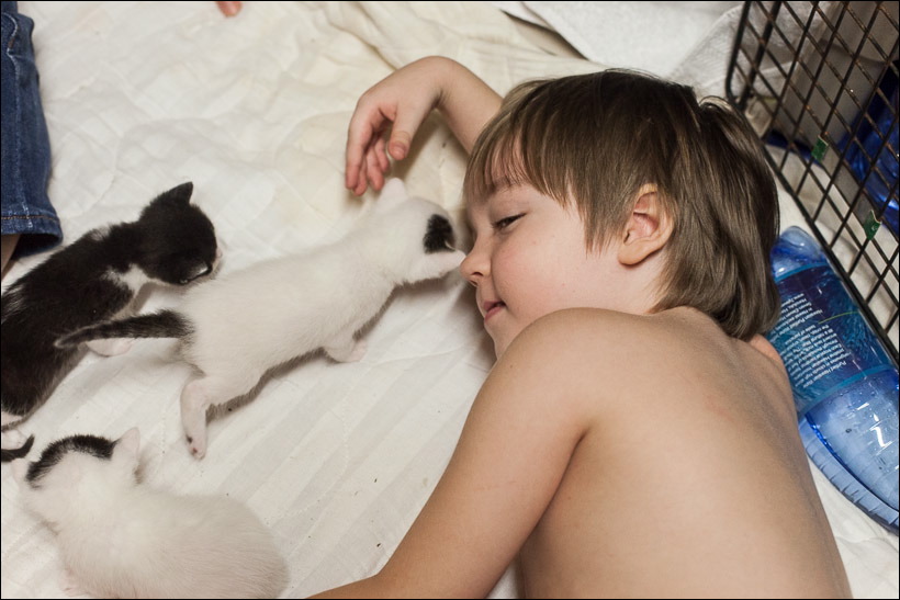 kittens0612.jpg