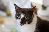img_3353