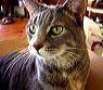 img_9548