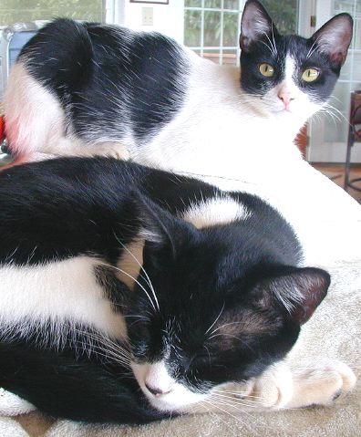 kits
