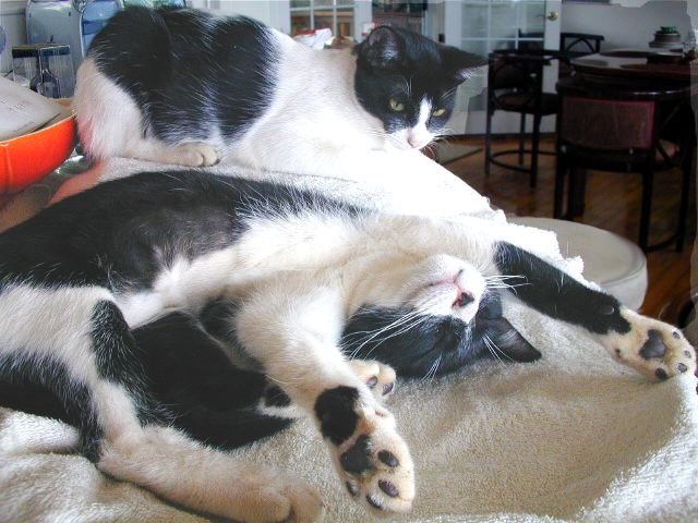 kits2