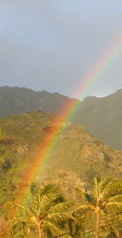rainbow2