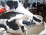 kits2