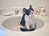 sink
