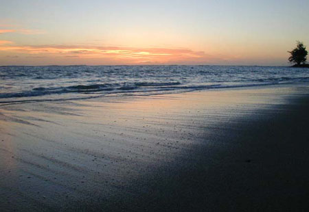 sun