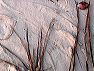 crw_7634