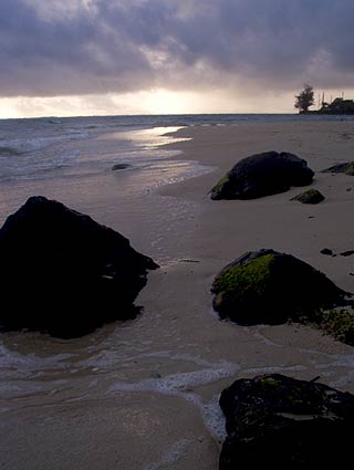 crw_8558