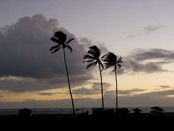 crw_3307.jpg