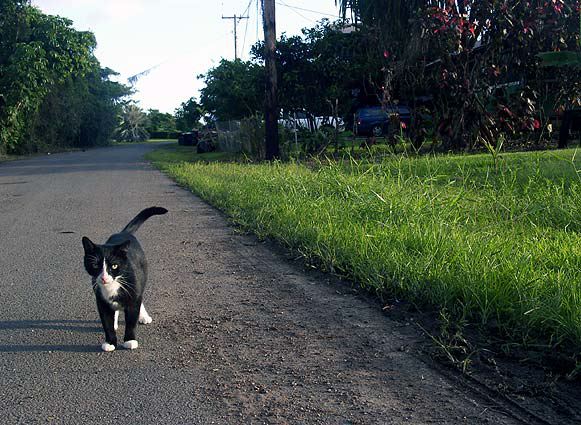 crw_3333.jpg