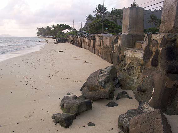 crw_3374.jpg