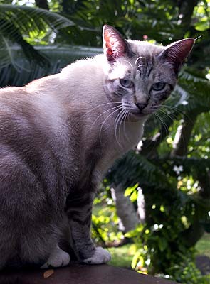 crw_4830
