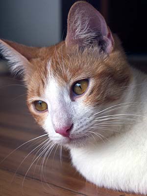 crw_4837