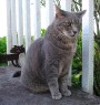img_0650