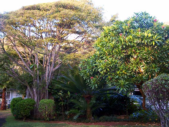 crw_5057