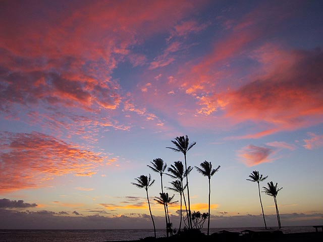 dawn