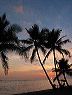 crw_2288_rj