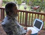 Laptop chickens