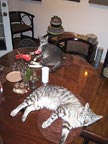 preparing for dinner
