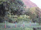 Nozawa's fence