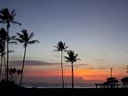 dawn