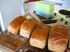 bread