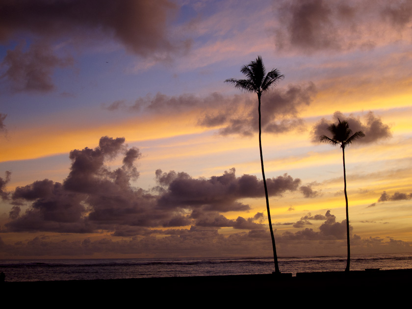 Dawn