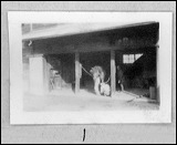 film1-1