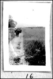 film1-16