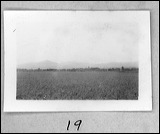 film1-19