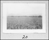 film1-20