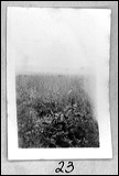film1-23