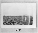 film1-24