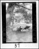 film2-37