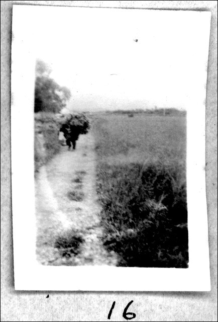 film1-16.jpg