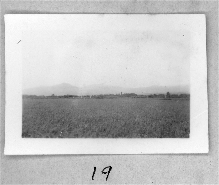 film1-19.jpg