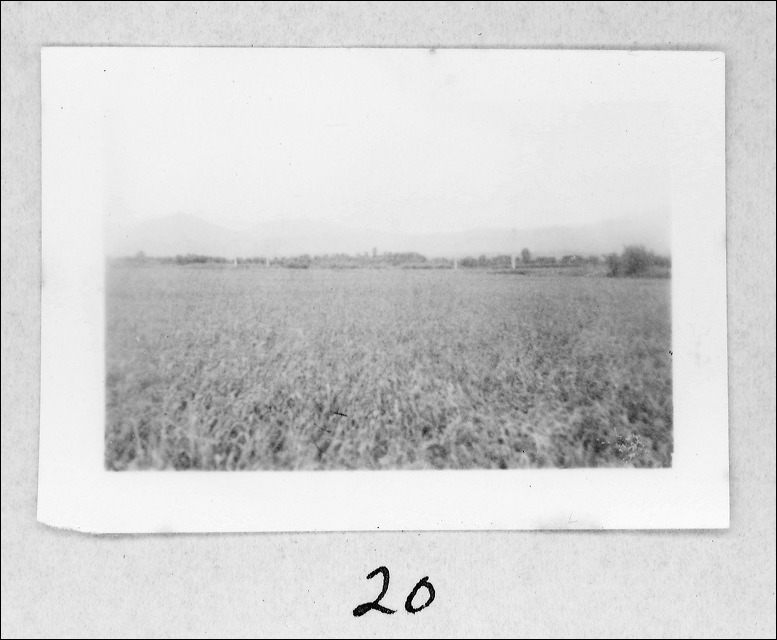 film1-20.jpg